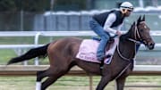 Kentucky Oaks hopeful Take Charge Milady puts in final workout at Churchill Downs, before the race. Photo by Pat McDonogh. April 23, 2025
