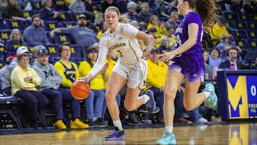 Washington v Michigan