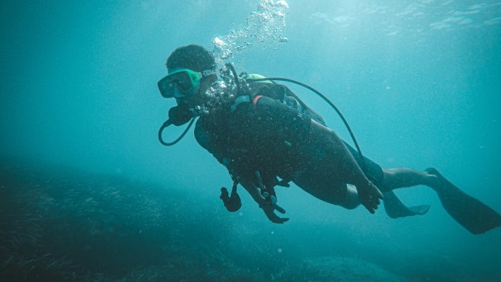 Scuba Diver in the Water