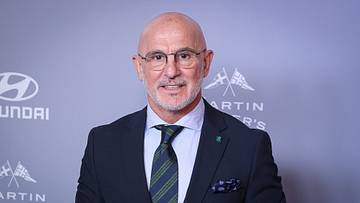 Luis De La Fuente Luis De La Fuente