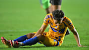 Tigres UANL v FC Juarez - Torneo Clausura 2025 Liga MX