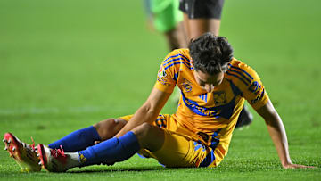 Tigres UANL v FC Juarez - Torneo Clausura 2025 Liga MX