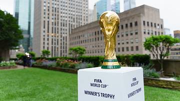 Der begehrte WM-Pokal