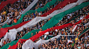 O Fluminense pretende avançar em um projeto SAF nos próximos meses