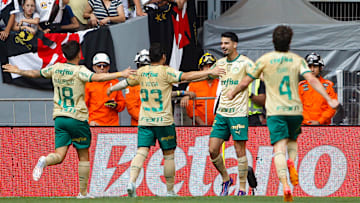 Vasco da Gama v Palmeiras - Brasileirao 2024