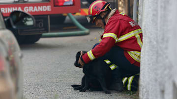 A firefighter seen caressing a dog during the wildfire in...