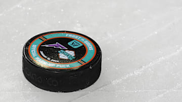 Minnesota Frost v New York Sirens