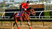 American Stage, trained by Yoshito Yahagi, exercises in preparation for the Cygames Breeders' Cup Sprint at Del Mar Thoroughbred Club in Del Mar, California on October 28, 2025.