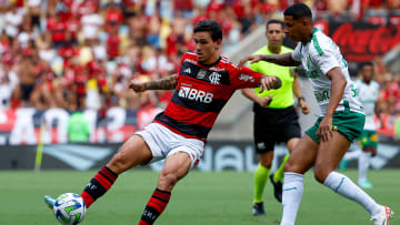 Pedro é o artilheiro do Flamengo e do Brasil na temporada.