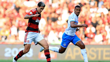 Flamengo e Bahia se enfrentam pela rodada 10 do Brasileirão Série A 2024.