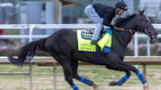  Rodriguez withdraws from the 151st Kentucky Derby.