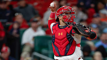 Houston Astros v St. Louis Cardinals
