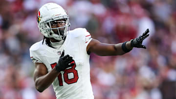 New England Patriots v Arizona Cardinals