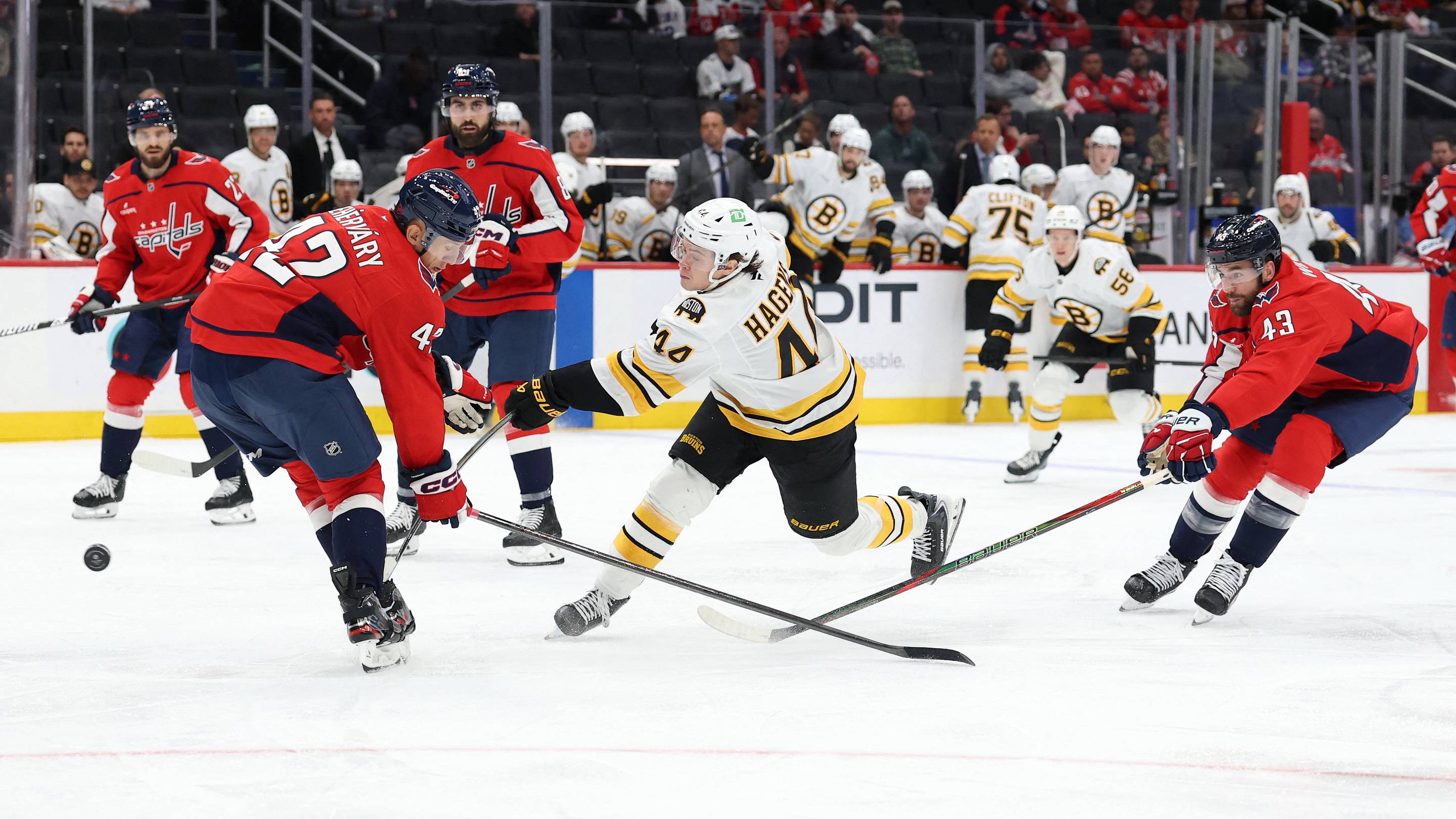 Bruins Fall to Capitals in Overtime to Finish Preseason 2-1-1