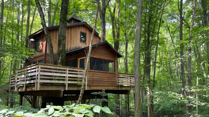 Sleeping amongst the trees at an Oak Openings treehouse - credit: Keith Langston