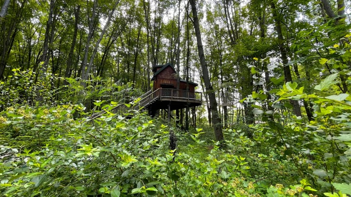 A treehouse at Oak Openings metropark