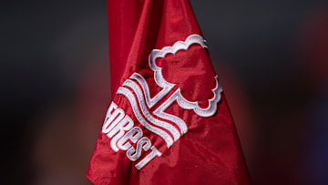 Tottenham Hotspur winger Brennan Johnson has come under scrutiny after pundit Ian Wright claimed Nottingham Forest got the better end of the deal in selling him to Spurs. 