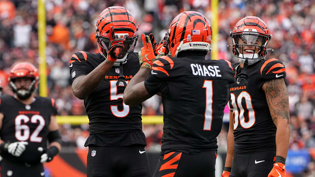 Chicago Bears v Cincinnati Bengals