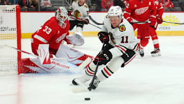 Chicago Blackhawks v Detroit Red Wings