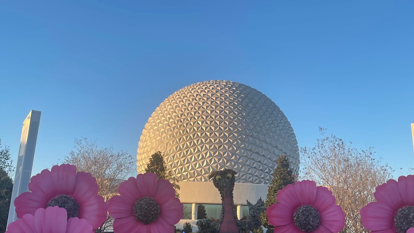 CommuniCore 大廳為 EPCOT 節日而設計的覆蓋層看起來就像悲傷的梅西百貨展示