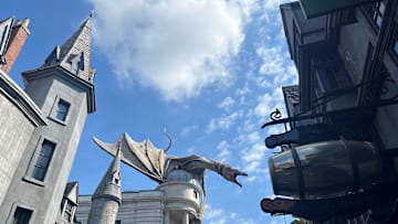 The Wizarding World of Harry Potter – Diagon Alley.
