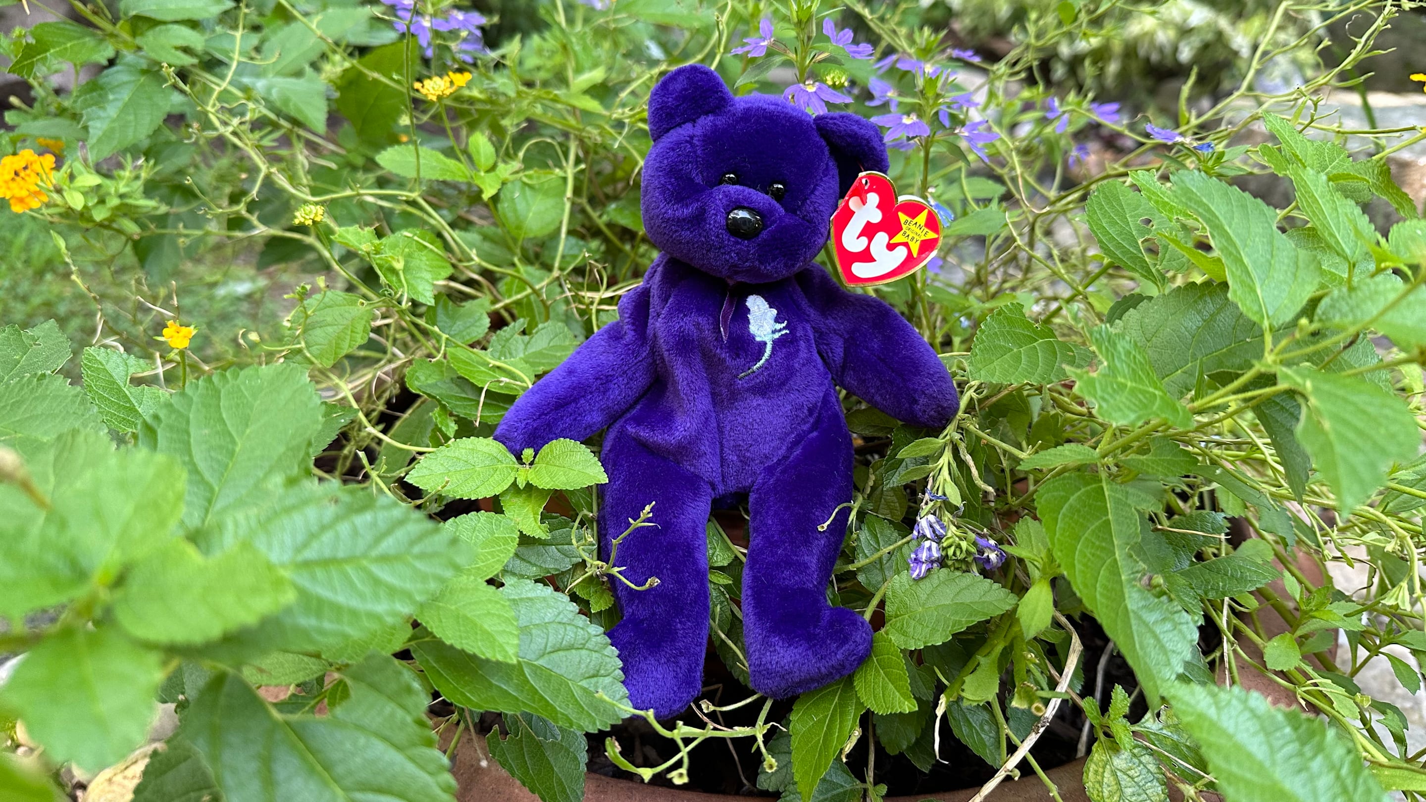 The History—and Value—of the Princess Diana Beanie Baby