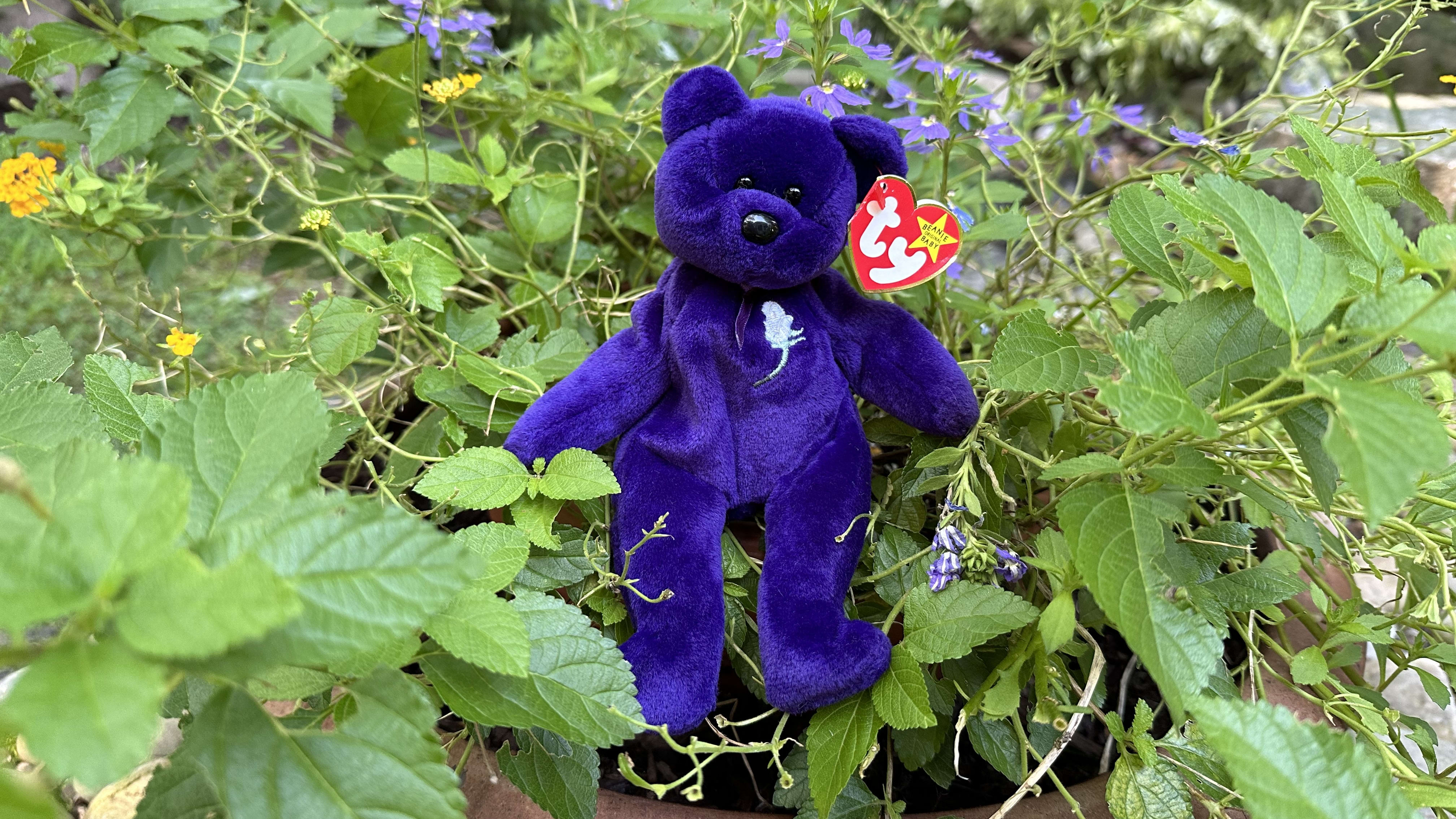 The History and Value of the Princess Diana Beanie Baby