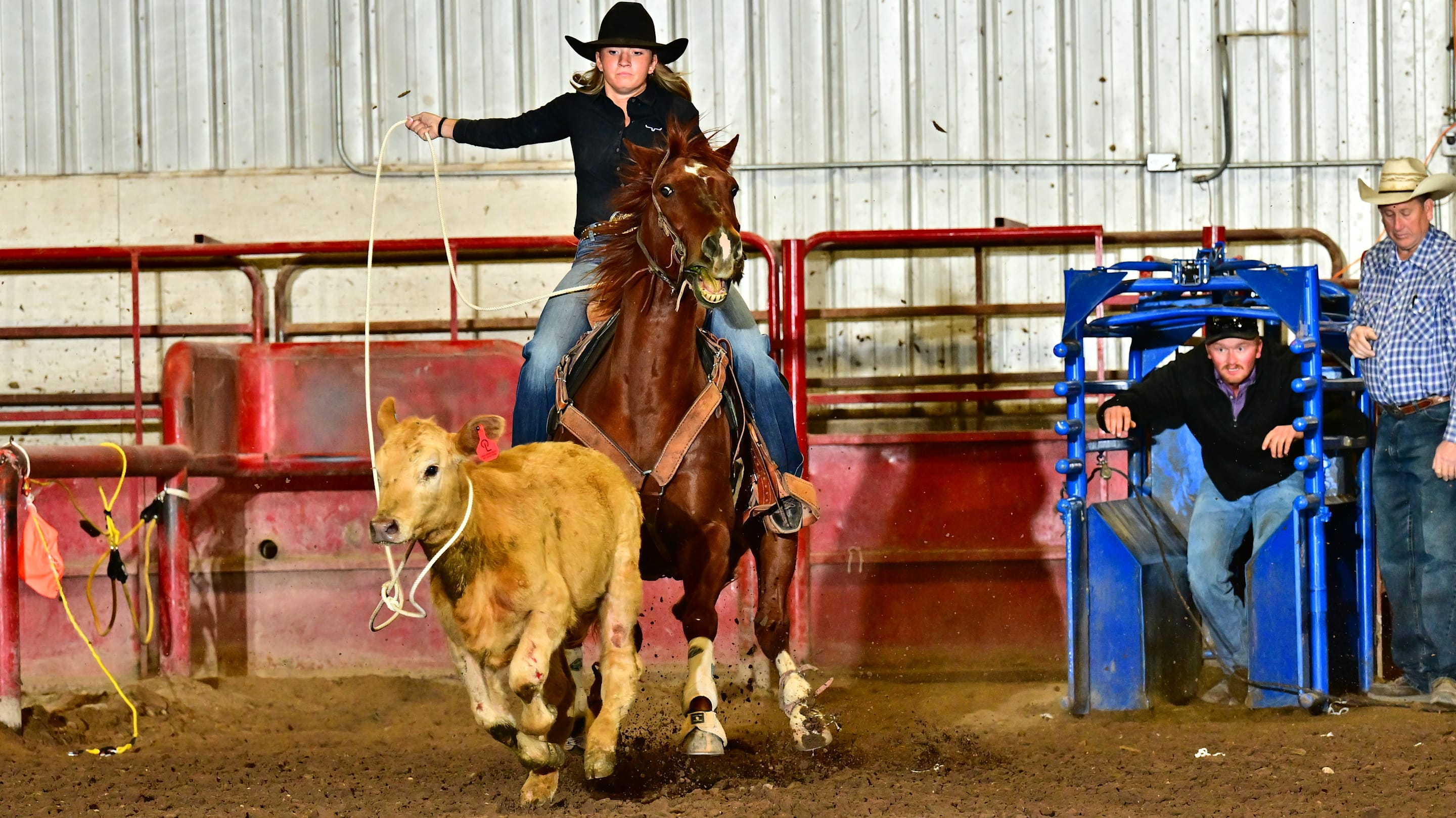 Young Gun Tops WPRA Western Regional and Qualifies for Calgary Stampede