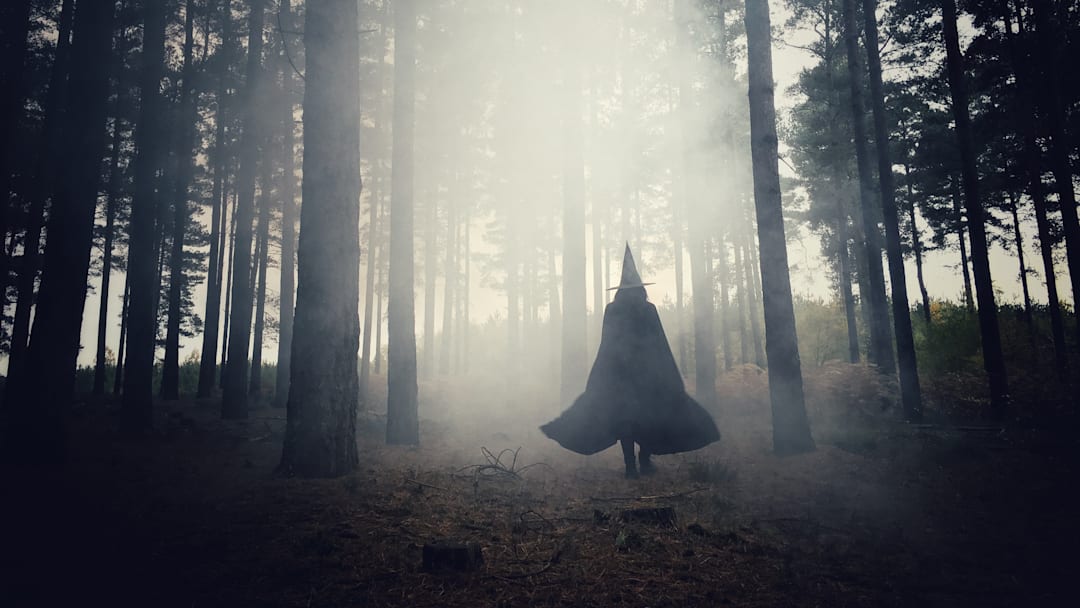 Watch out for witches. Watch out for witches.