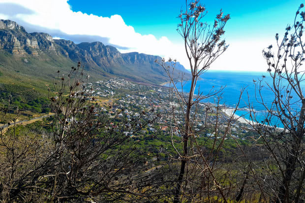 Overlooking a town with the ocean in the background.