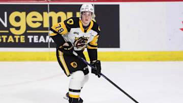 Hamilton Bulldogs v Windsor Spitfires