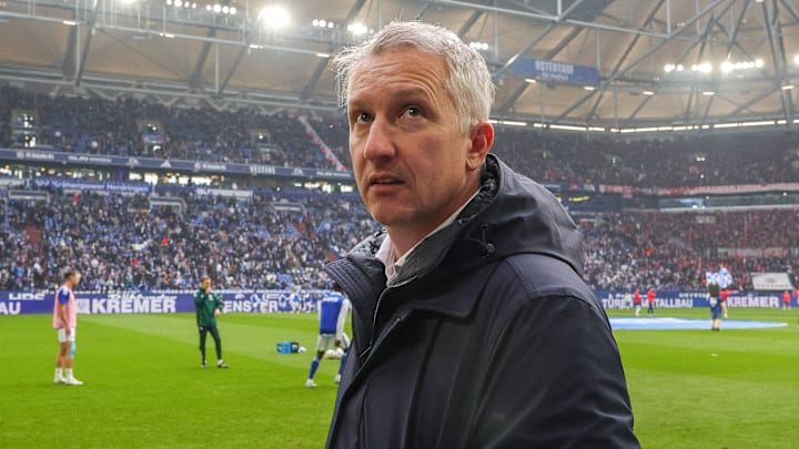 Frank Baumann in der Veltins-Arena