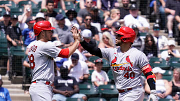 St. Louis Cardinals v Chicago White Sox