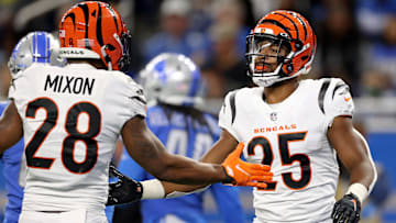 Cincinnati Bengals v Detroit Lions