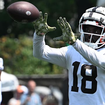 Aug 4, 2024; Cleveland Browns wide receiver David Bell (18) catches the ball during practice at the Browns training facility in Berea, Ohio.