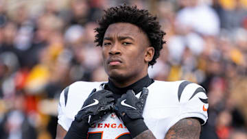 Cincinnati Bengals v Pittsburgh Steelers - NFL 2025