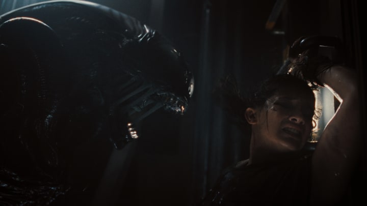 Alien: Romulus, courtesy of 20th Century Studios