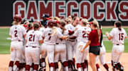 South Carolina picked up a utility player in the transfer portal.