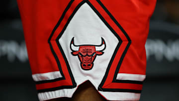 A view of the Chicago Bulls logo on a pair of game shorts at The Palace of Auburn Hills. The Pistons won 102-91.