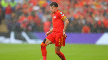 Wales v Ukraine - FIFA World Cup Qualifier