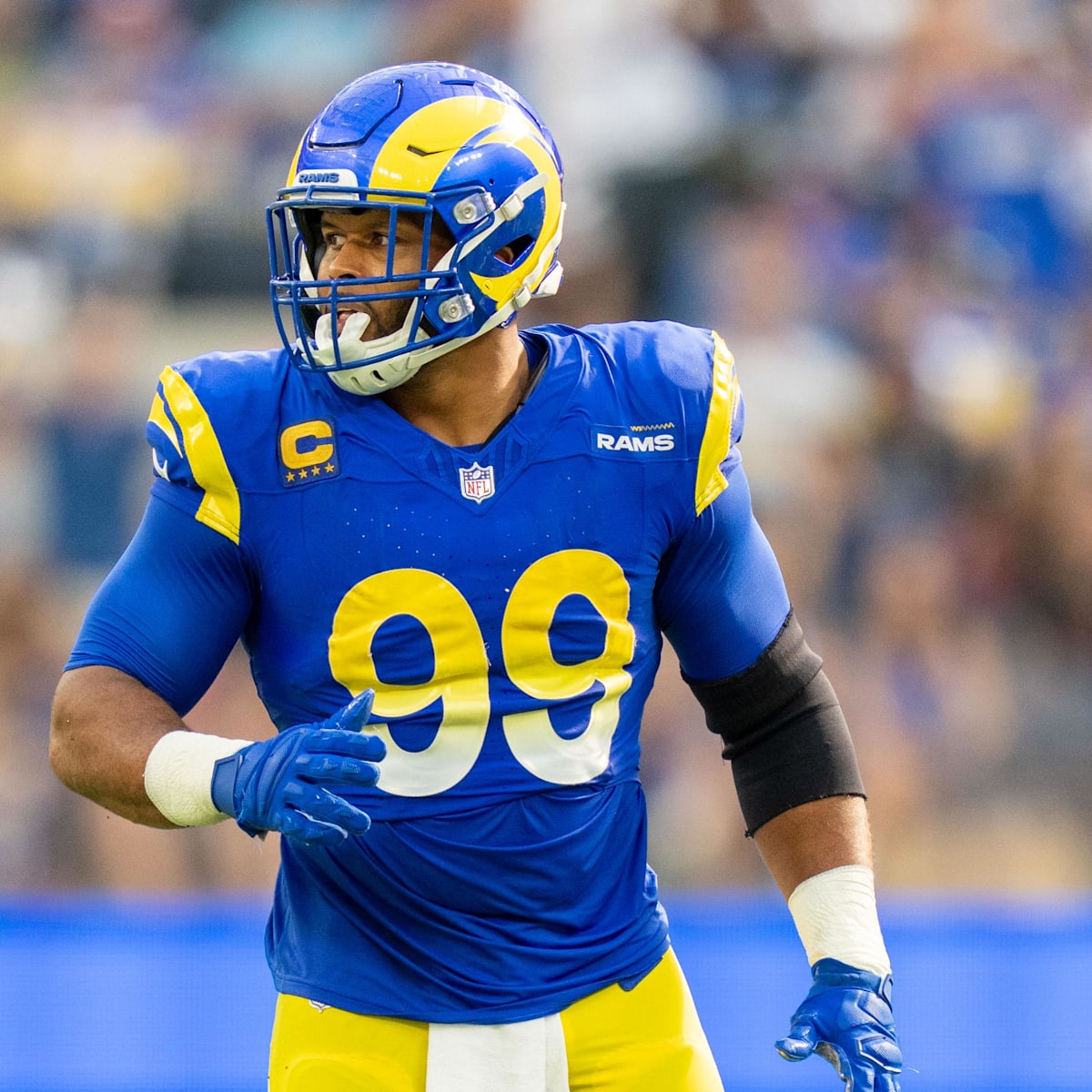 La rams sweater shop