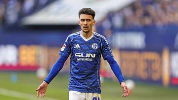 Dejan Ljubicic könnte Schalke schnell wieder verlassen Dejan Ljubicic könnte Schalke schnell wieder verlassen
