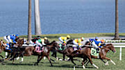 Horse Racing at Gulfstream Racetrack