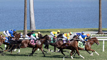 Horse Racing at Gulfstream Racetrack