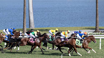 Horse Racing at Gulfstream Racetrack