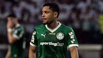 FBL-BRA-PALMEIRAS-FLAMENGO