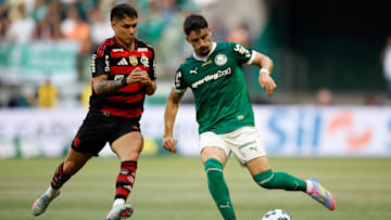 Palmeiras v Flamengo - Brasileirao 2025