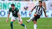 Botafogo e Palmeiras se encontram pela primeira vez após a Copa do Mundo de Clubes 