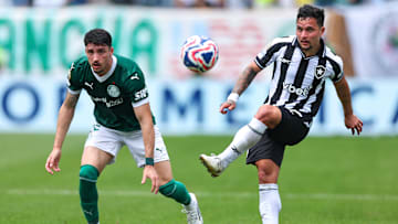 Botafogo e Palmeiras se encontram pela primeira vez após a Copa do Mundo de Clubes 