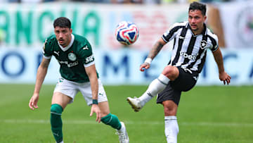 Botafogo x Palmeiras se enfrentam pelo Brasileirão 2025
